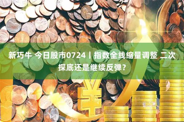 新巧牛 今日股市0724丨指数全线缩量调整 二次探底还是继续反弹？