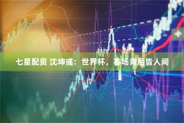 七星配资 沈坤彧：世界杯，赛场背后皆人间