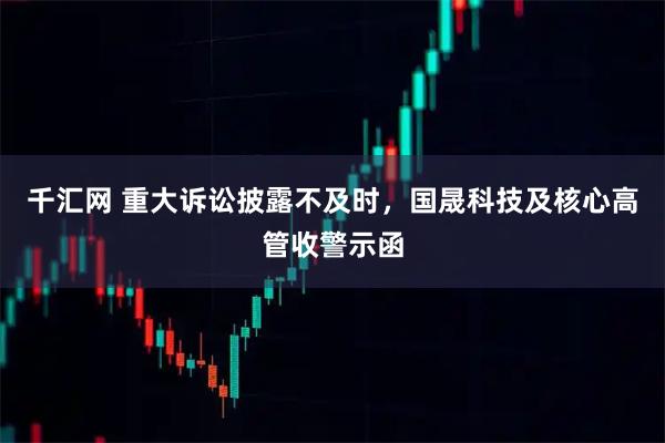 千汇网 重大诉讼披露不及时，国晟科技及核心高管收警示函